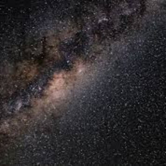 Meet your Posher, Danielle - Picture 1 of 1